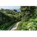 TRISARA HOTEL PHUKET