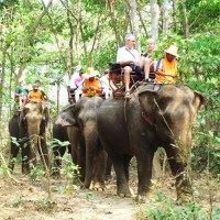 Pa-La-U Waterfall & Elephant Riding