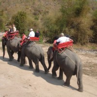 Sam Roi Yod National Park & Elephant Riding