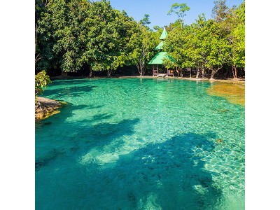 Jungle tour