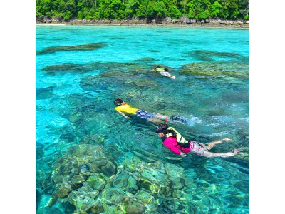 Surin Island (15 Oct – till 15 May only)