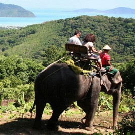 Safari Eco Tour (Phuket)