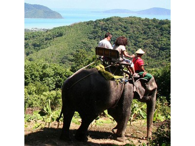 Safari Eco Tour (Phuket)