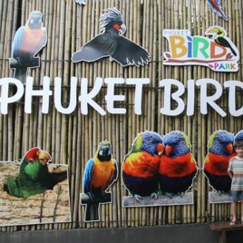 Phuket Bird Park