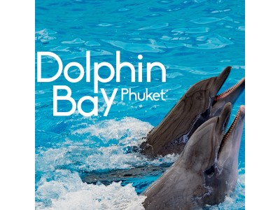 Dolphins Show Phuket